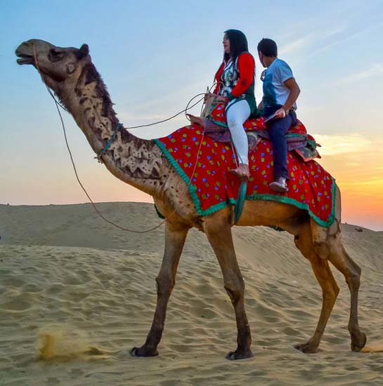 Camel Safari Jaisalmer